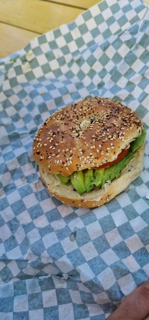Everything bagel with hummus and avocado at Ice and Beans Cafe in Caye Caulker
