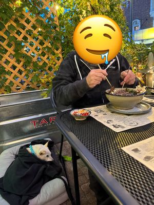 Purple Bun Sen, lovely patio, very dog friendly (they were cool with our old pup’s bed and brought water over for the dogs before us 💕)  at Sen Organic Small Plate in Richmond