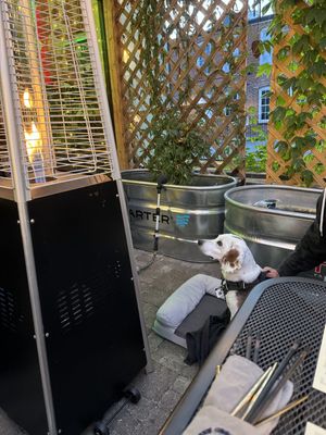 Heaters are all around the large patio. It was very comfortable on a November evening.  at Sen Organic Small Plate in Richmond