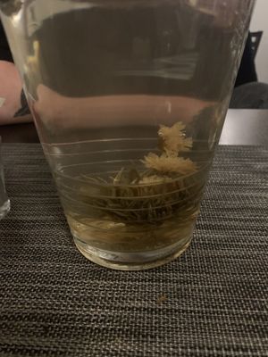 Flowertea at L'Usyne in Marseille