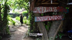 Beautiful, green, Milas. at Milas in Yogyakarta