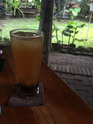 kombucha (palm sugar on the ground) at Milas in Yogyakarta