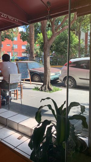   at Tulasi in Mexico City