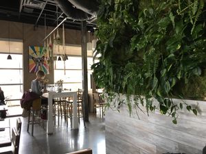 Love the atmosphere  at VegeNation in Henderson