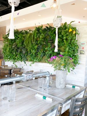  Gorgeous Decor... Green Wall  at VegeNation in Henderson
