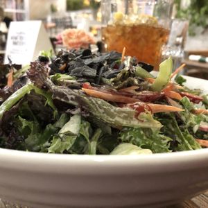 The biggest salad I've ever seen. at VegeNation in Henderson