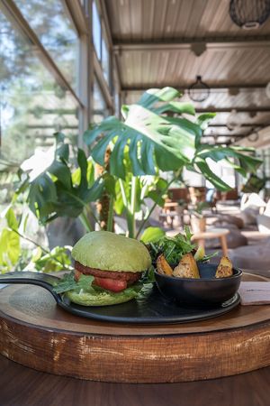 Gourmet Burger ( Homemade Onion pickle, homemade dried tomato sauce ) at Ch'i for Life in Antalya