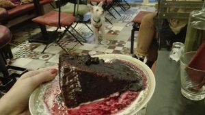 vegan chocolate cake at Cafe Bar 67 in Athens