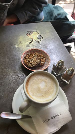 Vegan cappuccino and a vegan snack at Cafe Bar 67 in Athens