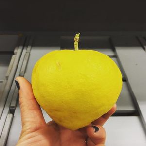 La Capra Rampante at La Capra Rampante - Via Donatello in Rome