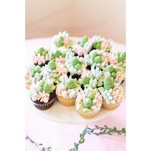 Cupcakes at Sea Salt & Cinnamon in Muncie