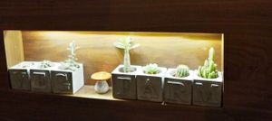 1 at VegFarm - Wú Guójiè Shū Shí in Taichung