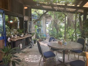 Outside tables  at Niceness in Nago