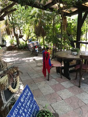 Outdoor area  at Niceness in Nago