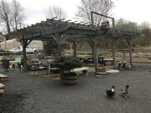 Outdoor seating  at Greenhouse Cafe & Tavern in Burlington
