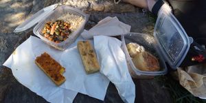 Vegan Quiche and two mains of the day at Avokado in Koper