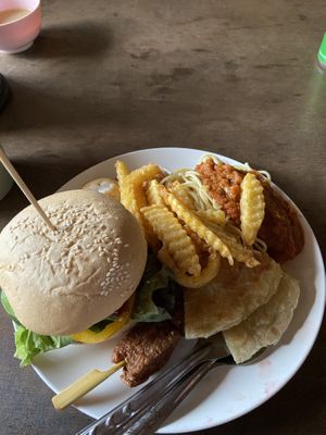 Burger 🍔   at Elephant Nature Park in Chiang Mai