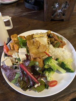 Buffe   at Elephant Nature Park in Chiang Mai