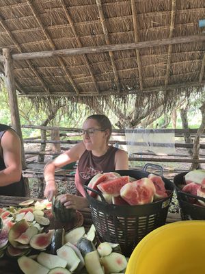 Preparing food for elephants   at Elephant Nature Park in Chiang Mai