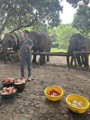Learning about elephants   at Elephant Nature Park in Chiang Mai