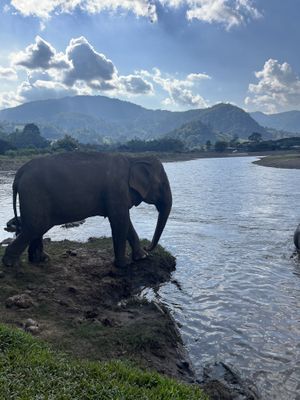 Landscape   at Elephant Nature Park in Chiang Mai
