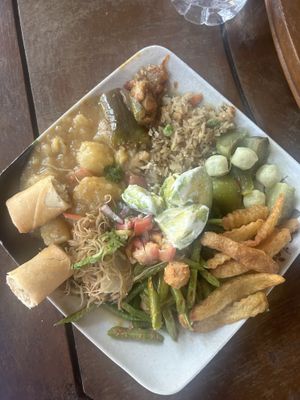   at Elephant Nature Park in Chiang Mai