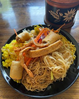   at Elephant Nature Park in Chiang Mai