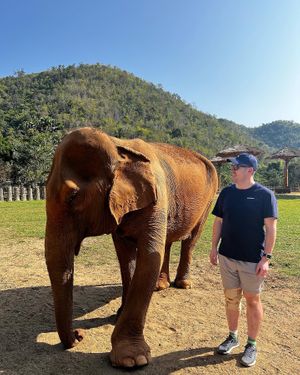   at Elephant Nature Park in Chiang Mai