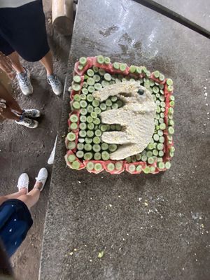 Cake for elephant 💜  at Elephant Nature Park in Chiang Mai