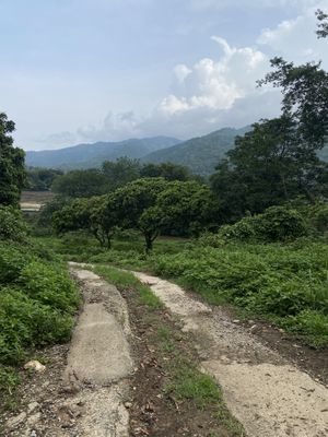   at Elephant Nature Park in Chiang Mai