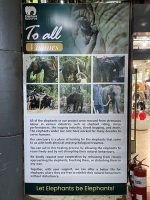 Information at Elephant Nature Park  at Elephant Nature Park in Chiang Mai