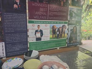  at Elephant Nature Park in Chiang Mai