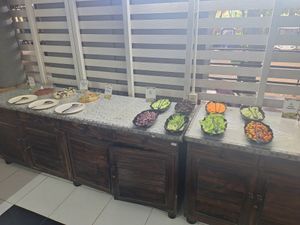  at Elephant Nature Park in Chiang Mai