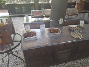  at Elephant Nature Park in Chiang Mai