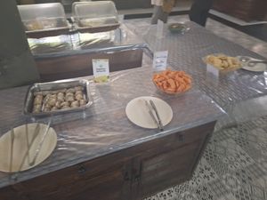  at Elephant Nature Park in Chiang Mai