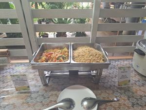  at Elephant Nature Park in Chiang Mai