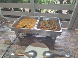  at Elephant Nature Park in Chiang Mai