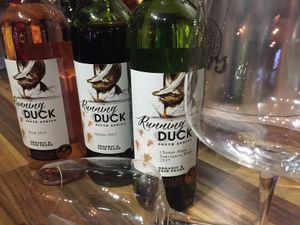 Our House Wines are Vegan
Running Duck Club at Castle Inn in Criccieth
