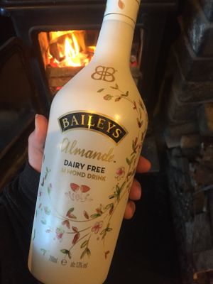 Vegan Baileys at Castle Inn in Criccieth