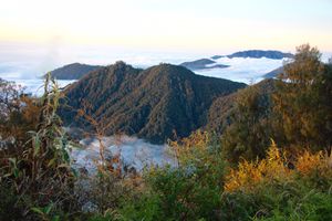 Trek to the top of Mt Batukaru 2,200m from the lodge - A great challenging climb through the rainforest with a reward at the top - A fantastic view of the volcanoes and crater lakes of Bali, Java & Lombok - spectacular! at Sarinbuana Eco Lodge in Tabanan
