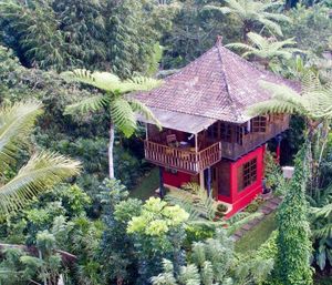 The Jungle Bungalow from above - this bungalow is perfect for families of 4-5 people at Sarinbuana Eco Lodge in Tabanan