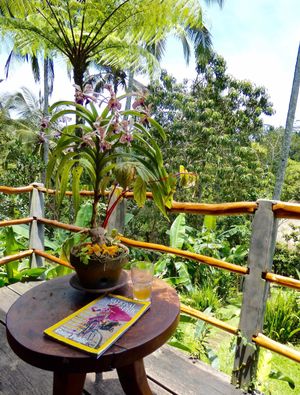 View from the Orchid bungalow at Sarinbuana Eco Lodge in Tabanan