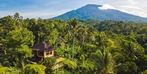 Tree House Bungalow for 2-5 people at Sarinbuana Eco Lodge in Tabanan