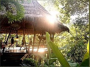 Tree top yoga bale at Sarinbuana Eco Lodge in Tabanan