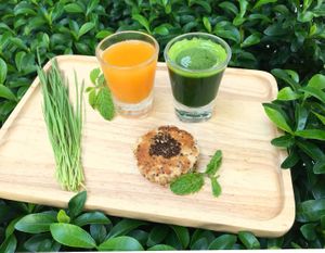 Wheatgrass shot at Booster Deli & Cafe in Phuket