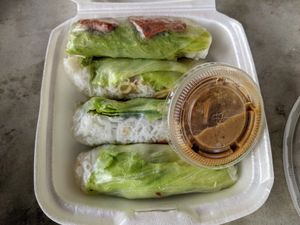 Spring rolls. at Bodhi Viet Vegan in Austin
