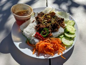 Grilled seitan. at Bodhi Viet Vegan in Austin