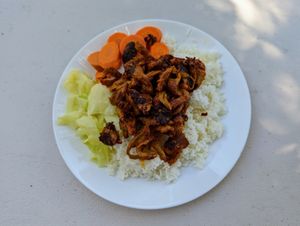 Lemongrass Seitan.  at Bodhi Viet Vegan in Austin
