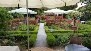 Der tolle Garten  at Cafe Moller in Unna