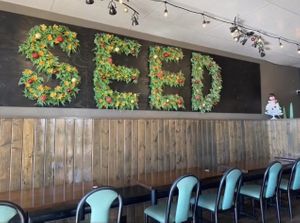 Restaurant  at Seed Shack in Gilbert